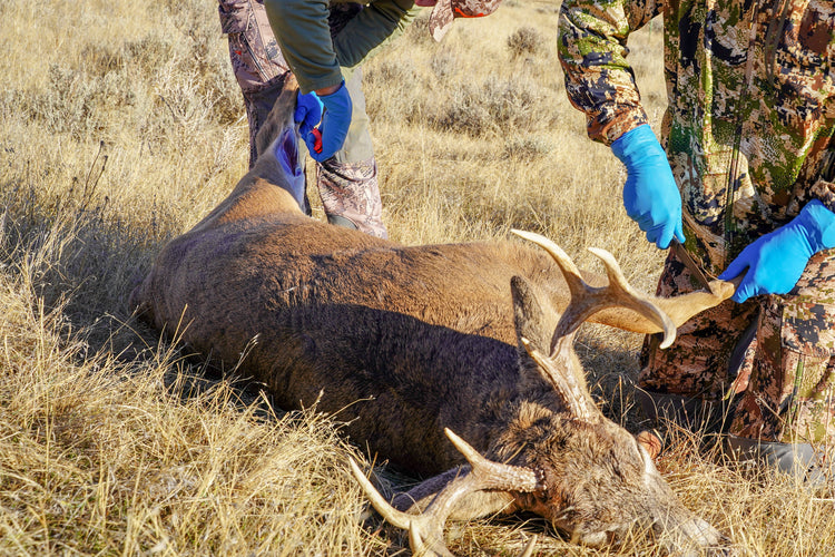 Hunting Knife Selection